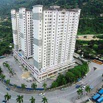 Taman Terubong Indah (Majestic Heights) 1