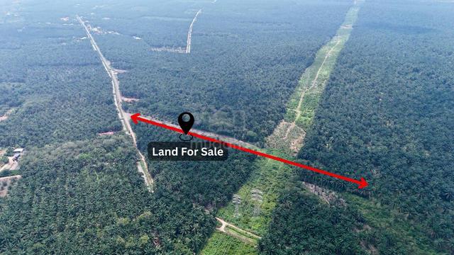 Lapis Pertama Tanah Pertanian, ada hasil 20thn @ Bukit Bakri, Muar 1