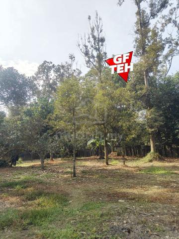 1.48 Acre Durian / Cempedak Farm Flat Agricultural Land Karangan Kedah 1