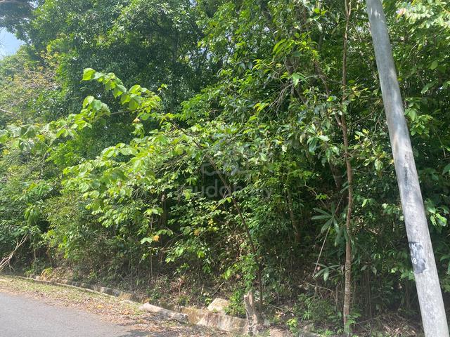 [POKOK GETAH ADA HASIL] Tanah Pertanian di KUBANG KESOM, SIK 5