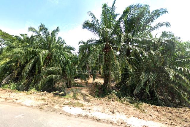 Tanah Mengadap Jalan Besar Untuk Di Sewa 1