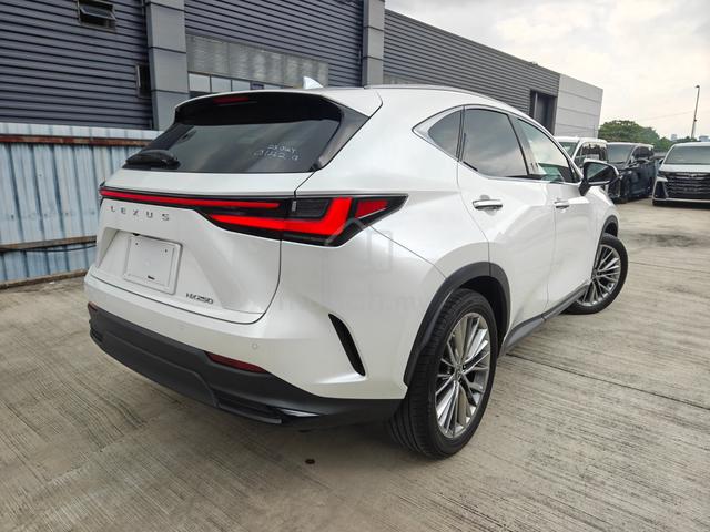 2022 Lexus NX 250 VL P/Roof 4Cam Brown Leather HUD - 2