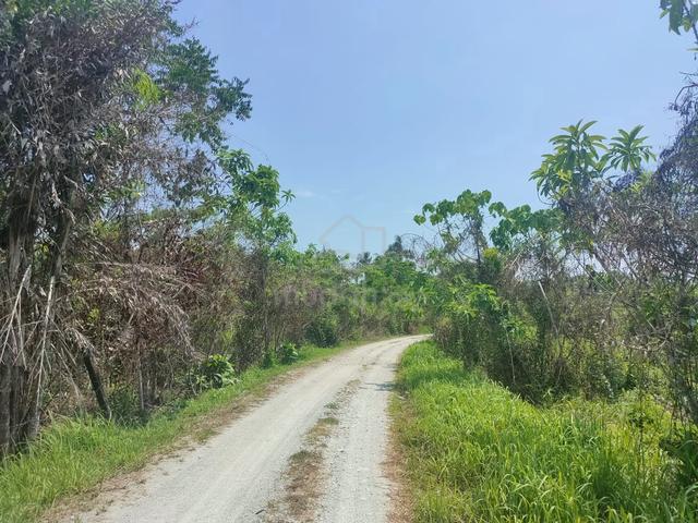 1st Grade Freehold Land Suitable Build Bungalow Small Farm Cheapest 1
