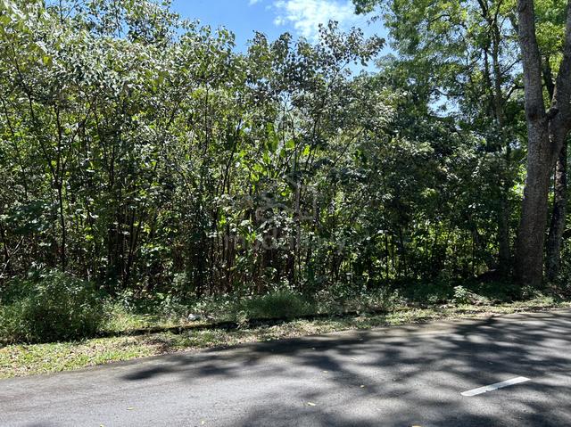 Bungalow Land 1
