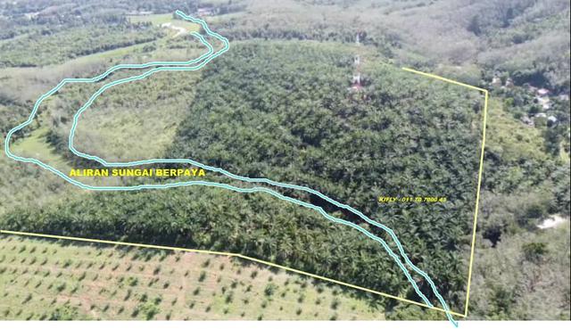 Tanah Kelapa sawit - Kg Berona - Jeniang 2