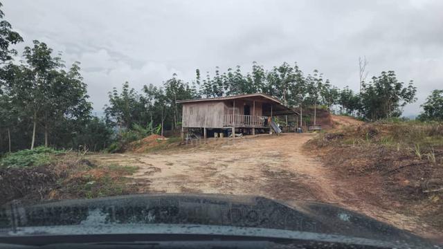 ‼️Tanah Kebun Inobong Penampang Untuk Dijual‼️ 1