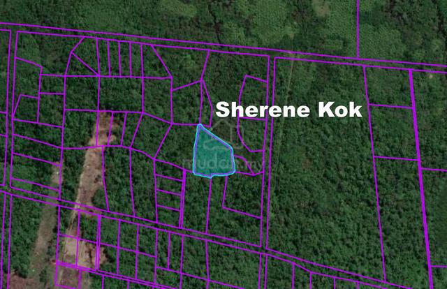 Agricultural Land FAC Matang Lebuhraya Pehin Sri Adenan Satem 1