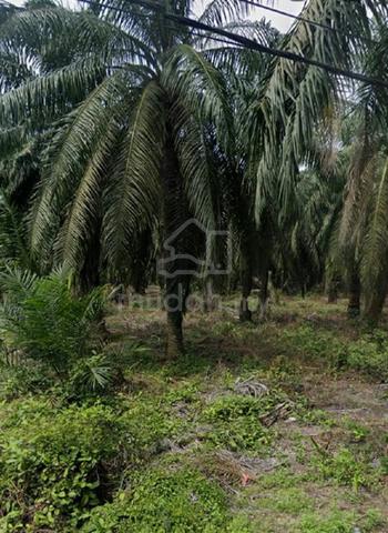 Tanah Untuk Dijual Di Kg Baru Parit Sulong 1