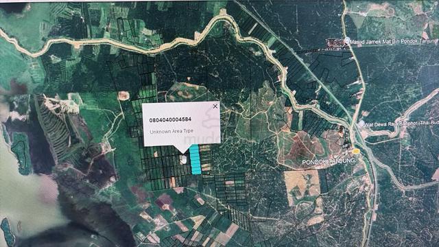 2 Lot Kebun Sawit Changkat Binjal, Semanggol 1