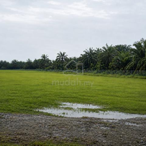 1 acre land for rent 1