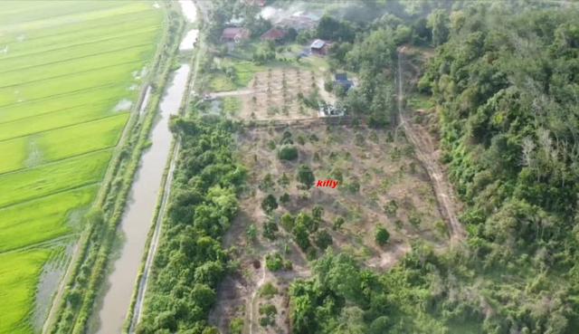 Dusun Durian Non Bumi - Bandar Darulaman 1