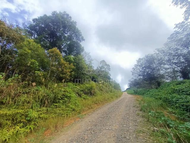Country Lease 1