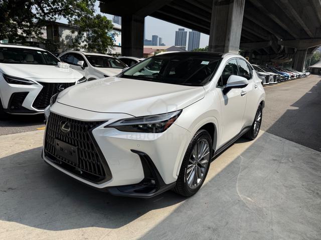 2023 Lexus NX 250 2.5 LUXURY P/R 360V DIM BSM 5A - 2