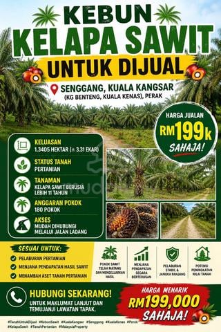 3.3 Ekar Freehold Sawit Rezab Melayu Senggang Kuala Kangsar 1