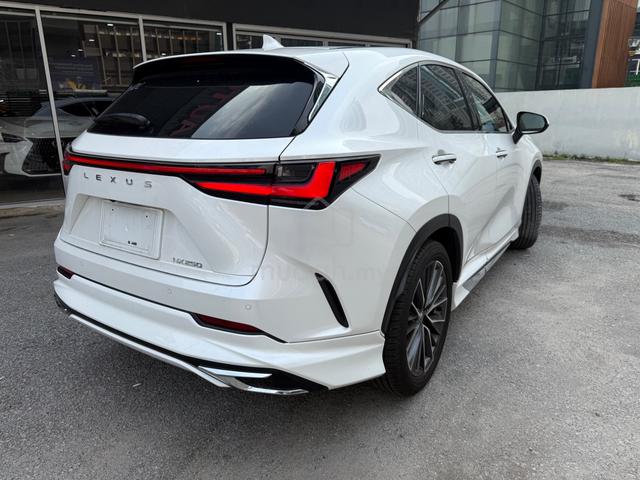 Lexus Nx250 Version L 2023 mark Levinson  - 4