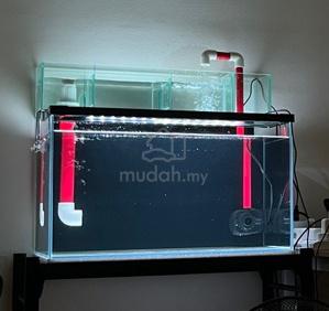 Carousel Image Selected