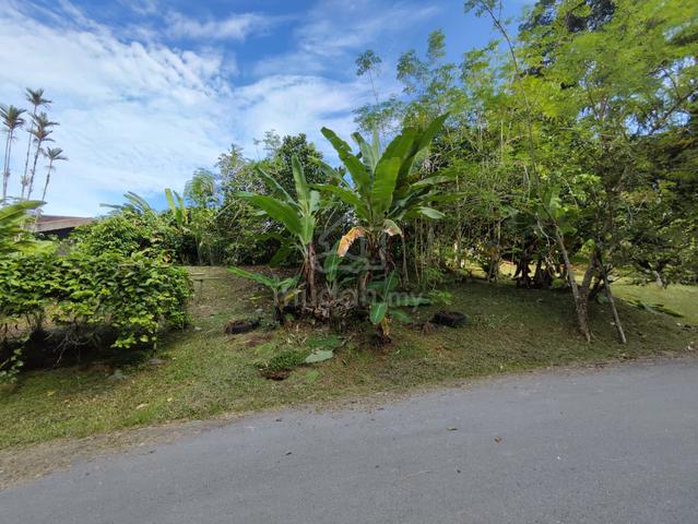 Detached Land At Nearby Crookshank Road & Bampfylde Road For Sale 1
