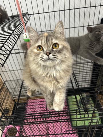 Carousel Image Selected