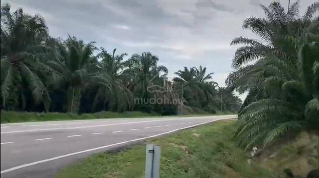 Pontian Agricultural Land For Sale 1