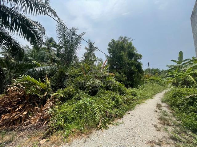 Tanjong Karang,0.5 acre agriculture land for sale, individual title 1