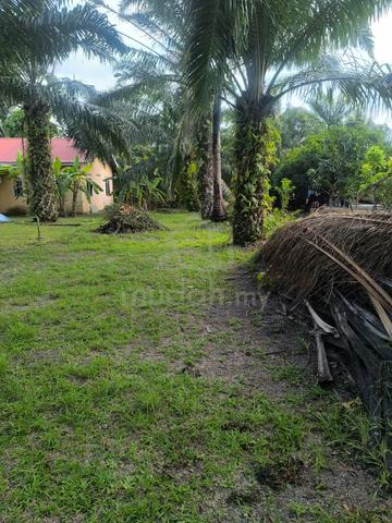 Tanah untuk di jual 1 ekar Kg Haji Razali Tg Karang, Selangor 1