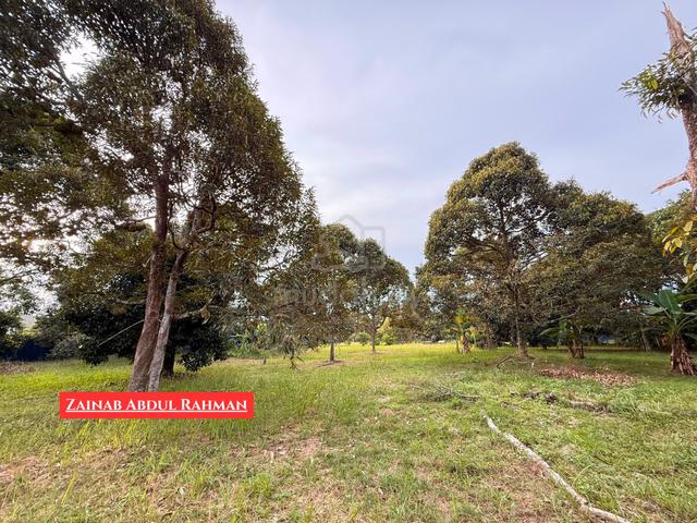 Tanah Dusun Durian Di Kampung Sungai Limau, Lunas 1
