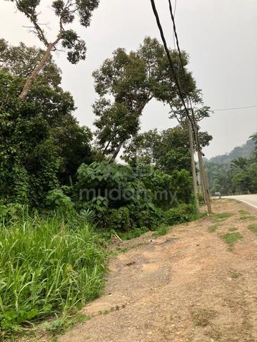 Tanah Pertanian Untuk Disewa 1