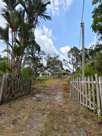 Sejijak Lorong 1 Agriculture Land 1