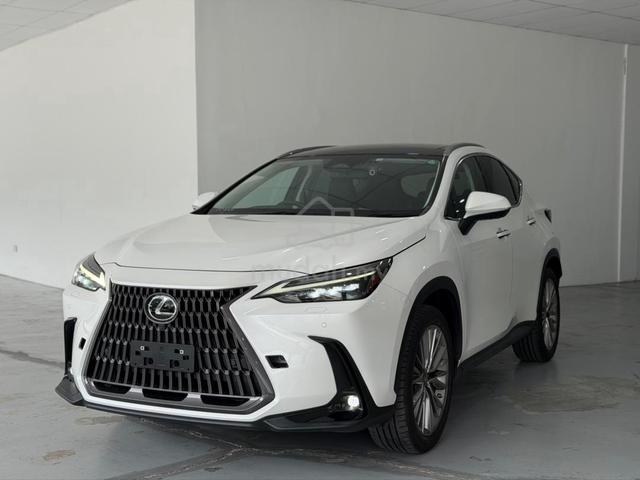 2022 Lexus NX 250 2.5 LUXURY (A) - 1