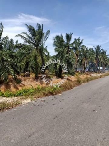 tanah untuk dijual di tangkak johor