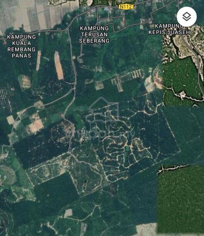 PELABURAN UNTUNG LADANG SAWIT 247.1 ekar Kuala Pilah, Negeri  Sembilan 2