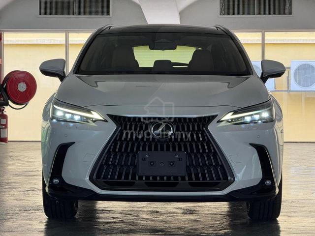 2023 Lexus NX250 2.5 LUXURY GRADE 4.5B (A) - 4