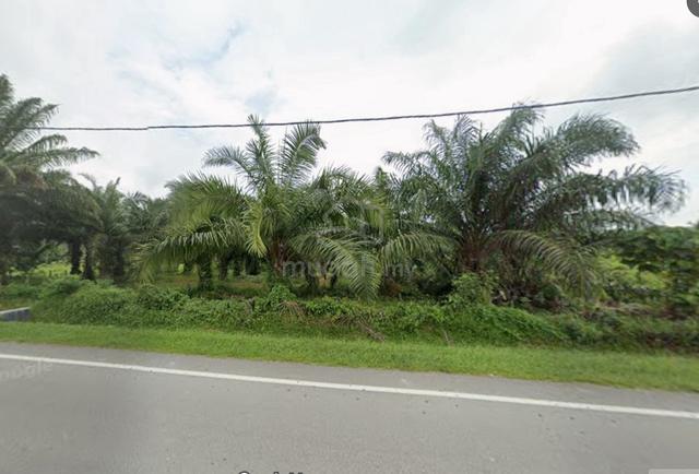 【FREEHOLD】Main Road Nyalas Melaka Nice Agriculture Land with Income 1