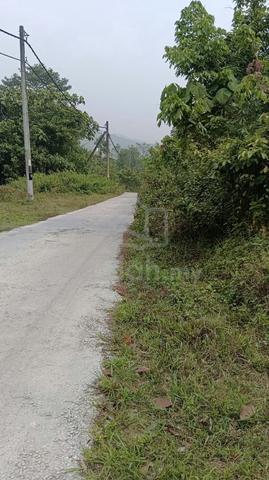 tanah dusun cantek 1