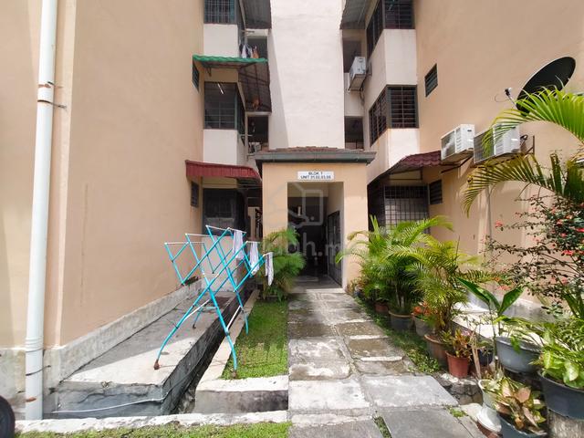 SD Apartments II 2