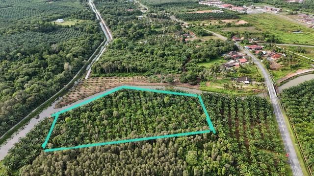 Tanah Cantik 2.8 Ekar๐ฅDekat Jalan Besar๐ฅPasir Panjang-Linggi PD. 1