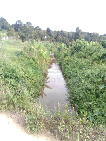 Lenggong Kuala Kenering Durian Land 5