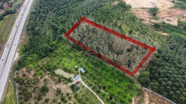 4.09 Acres Rubber Tree (Cinta Manis) near main road for sale 1