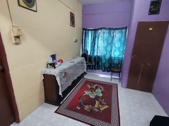 Flat Casurina 1