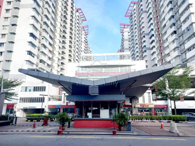Koi Kinrara 1