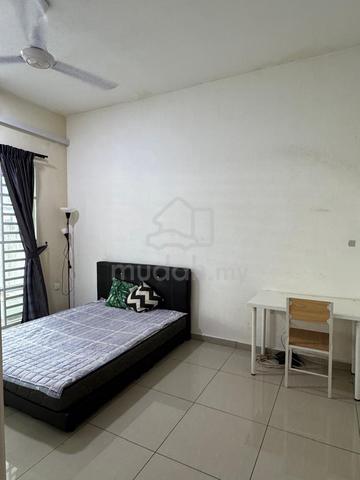 Botani Medium Room for Rent (Male Hostel) 1