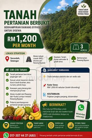 Tanah Pertanian Bukit, Serendah Berhampiran Rawang Bypass Untuk Disewa 1