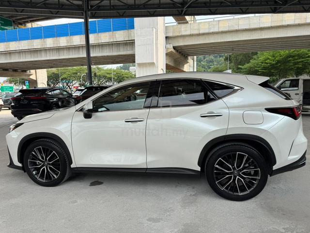 2024 Lexus NX250 2.5 VERSION L PAN ROOF HUD DIM - 3