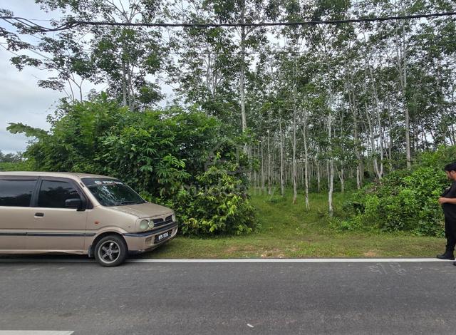 tanah kebun getah freehold area hosba Kedah Jitra 1