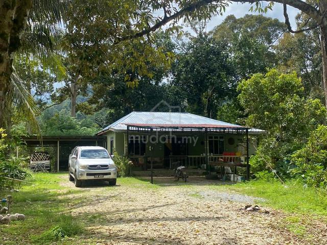 Tanah Rezab Melayu di Kg Pamah Kulat, Ulu Dong, Raub Pahang 1