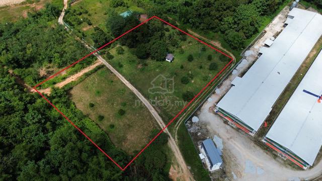 Tanah dusun untuk dijual di Kerling Selangor 1