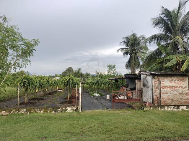 Housing Land in Jalan Gopeng, Perak (Nego) 1