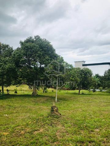 [MUSANG KING FARM FREEHOLD OPEN TITLE] Ladang Durian Jerantut Pahang 1