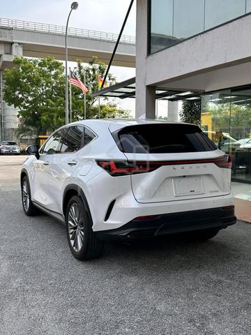2023 Lexus NX250 2.5 LUXURY MY22 (A) - 4