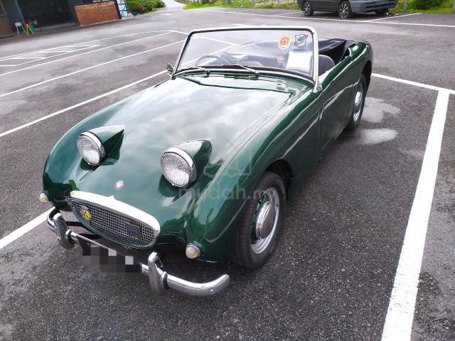 1959 Austin HEALEY (Frogeyes) - 3
